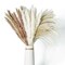 60 PCS Pampas Grass Natural Dried Reed Flower Bunch Home Decor Bouquets